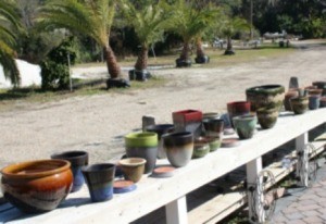 Containers For Growing Vegetables 