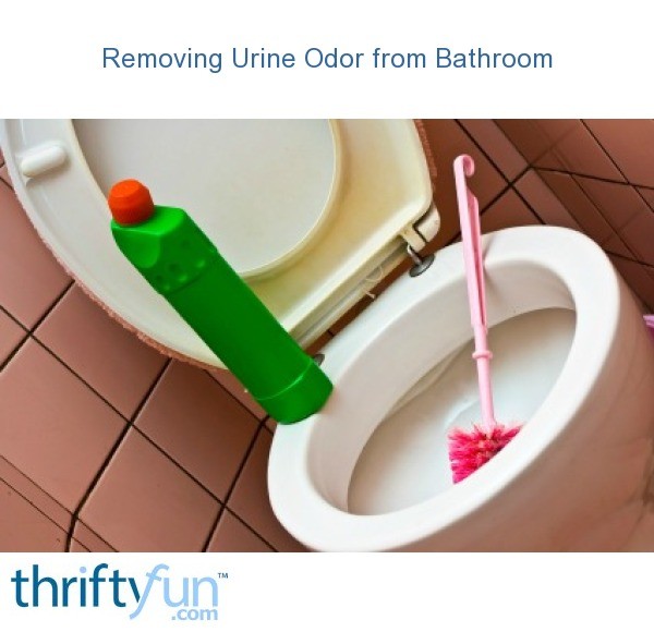 Removing Urine Odor from a Bathroom ThriftyFun