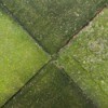 Cleaning Moss and Algae on Concrete