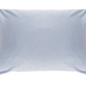 A while down pillow.