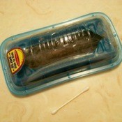 Pet hair cleanup brush and Q-tip.