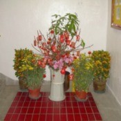 Flowers for Lunar New Year