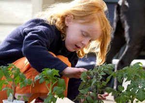 Victory Garden