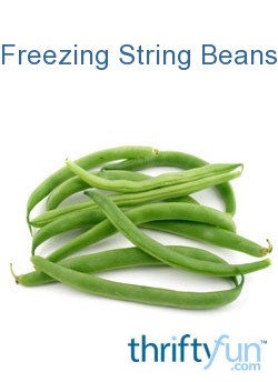 freezing string beans thriftyfun freezing string beans thriftyfun