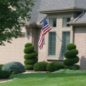 Topiary Design