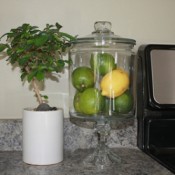 DIY Apothecary Jars