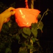 Topsy Turvy Tomato Grower