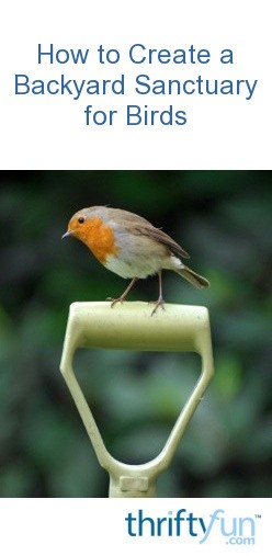 How to Create a Backyard Sanctuary for Birds | ThriftyFun