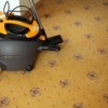 Musty Smelling Carpet