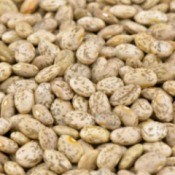 Pinto Beans
