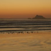 Beach with soft orangish pink sky.