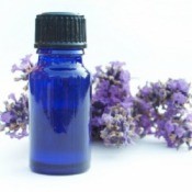 Lavender Essential Oil
