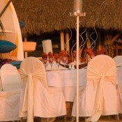 Wedding Chair Covers