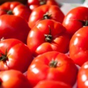 Good Tomatoes