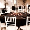 Wedding Reception