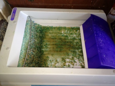 Disgusting ScoopFree Automatic Litter Box