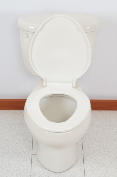 Preventing Mineral Deposits in a Toilet | ThriftyFun