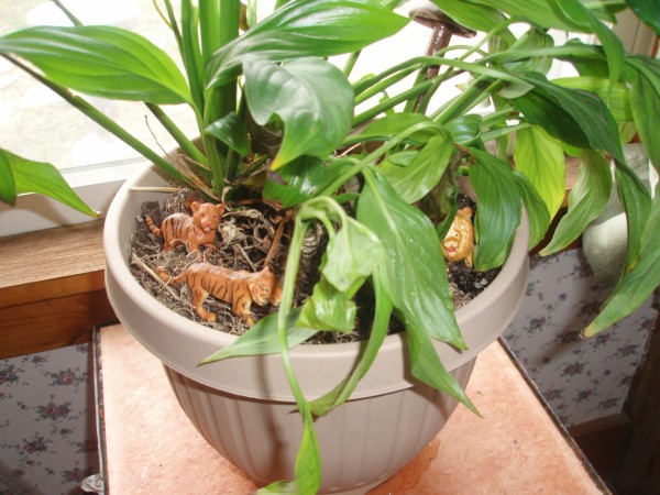 Decorating Houseplants With Toys
