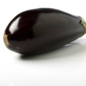 Eggplant