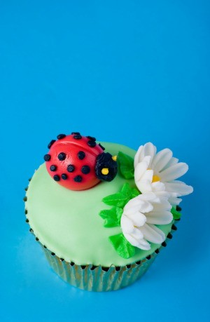  Themed Birthday Party on Bug Theme  This Is A Guide About Bug Themed Birthday Party Ideas