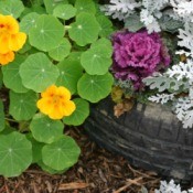 Tire planter with flowers in it.