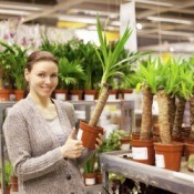 buying plants