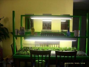 Starting Seeds Cheaply