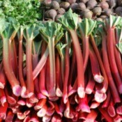 Good Rhubarb