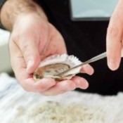 Cleaning Oysters