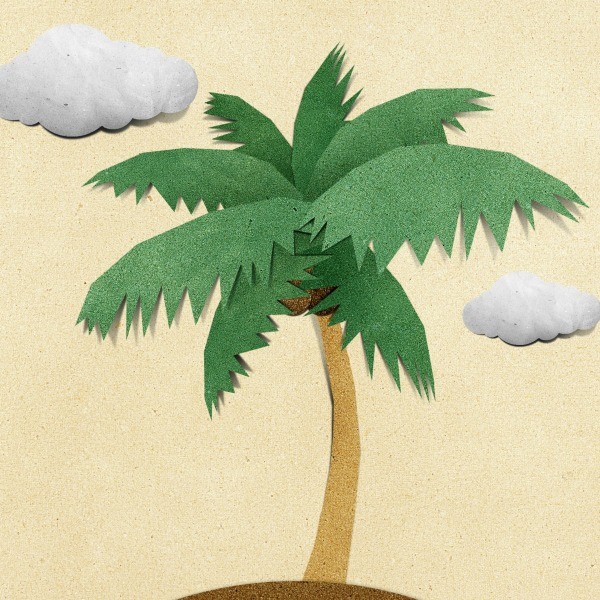 making-palm-trees-and-palm-leaves-thriftyfun