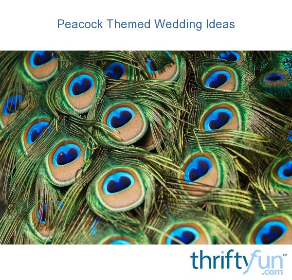 Peacock Themed Wedding Ideas My Frugal Wedding