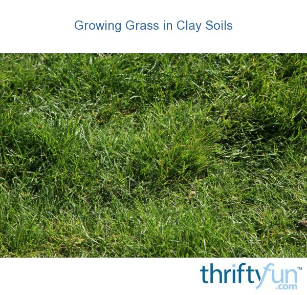 Growing Grass in Clay Soils ThriftyFun
