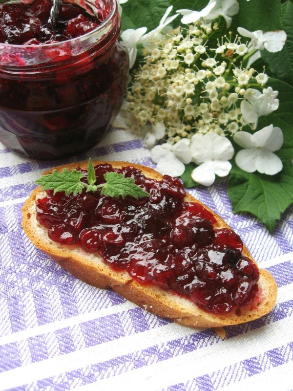 What are some good recipes using cranberry jelly?