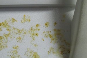 How to tackle rust on a fridge - tribunedigital-chicagotribune