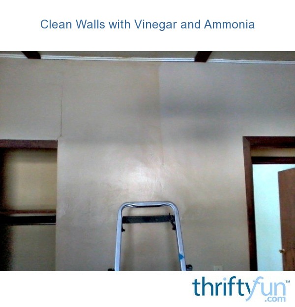 Clean Walls with Vinegar and Ammonia ThriftyFun