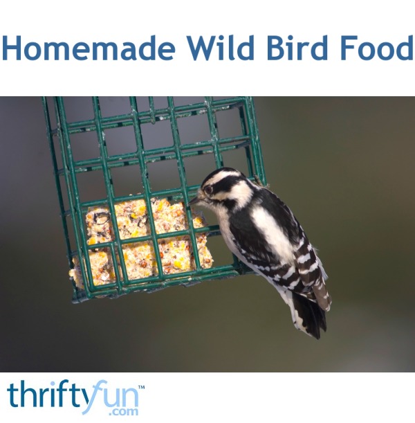 Homemade Wild Bird Food