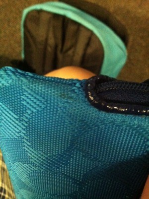 washing coach wristlets