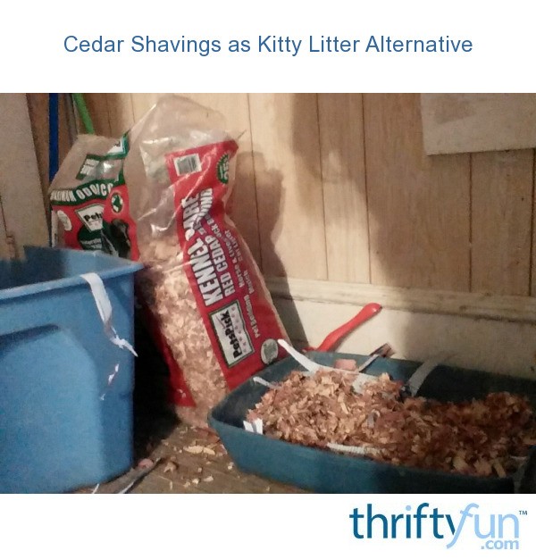 Cedar Shavings as Kitty Litter Alternative ThriftyFun