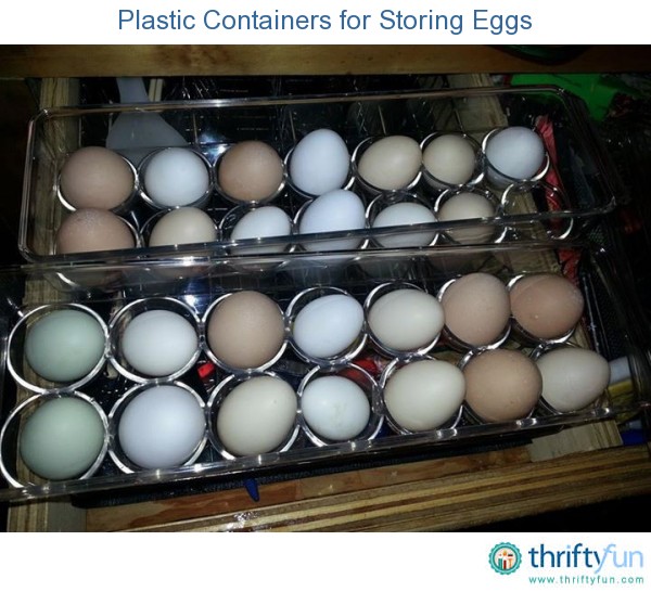 Plastic Containers for Storing Eggs ThriftyFun