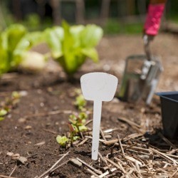 Landscaping | ThriftyFun