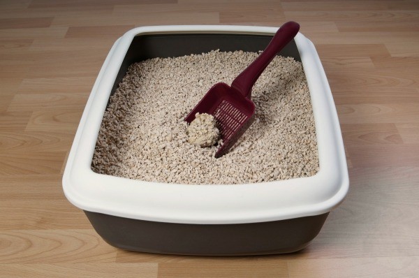 cat litter scoop with small holes