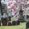 Making Grave Site Floral Arrangements | ThriftyFun