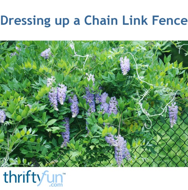 Dressing up a Chain Link Fence ThriftyFun