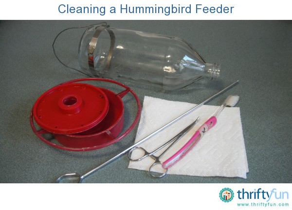 cleaning a hummingbird feeder thriftyfun cleaning a hummingbird feeder thriftyfun