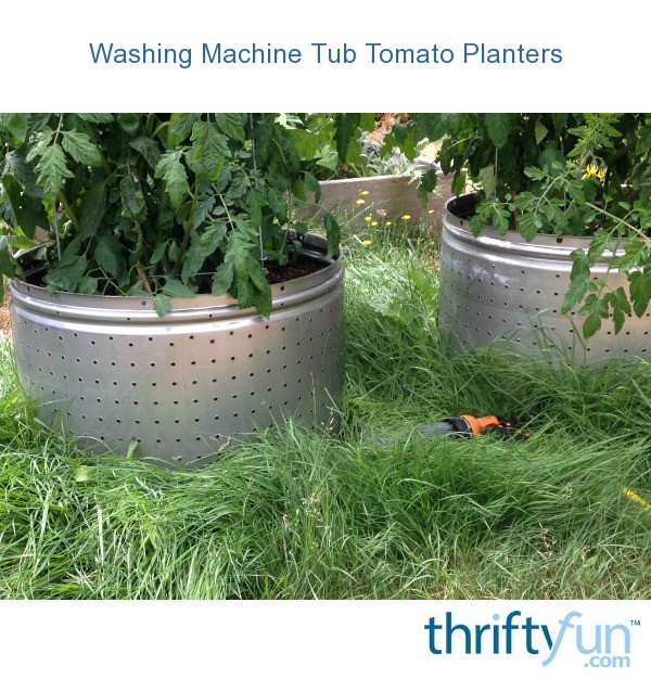 Washing Machine Tub Tomato Planters ThriftyFun