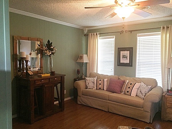 Living Room Curtain Color For Green Walls