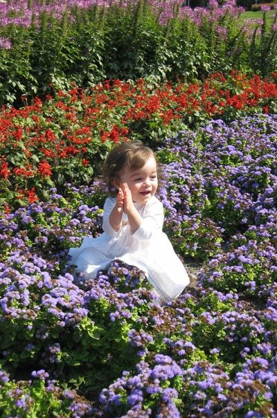 Taking Pictures in Flowers