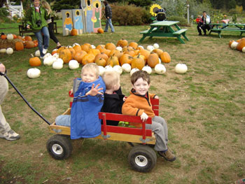 Plumper Pumpkin Patch Visit