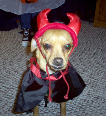 Sable in Halloween Costume