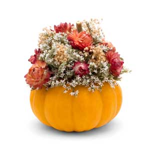 pumpkin centerpiece